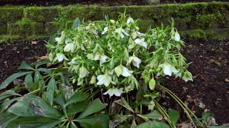 WP_20160206_14_49_57_Rich_LI