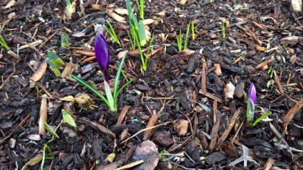 WP_20160212_15_12_39_Rich_LI