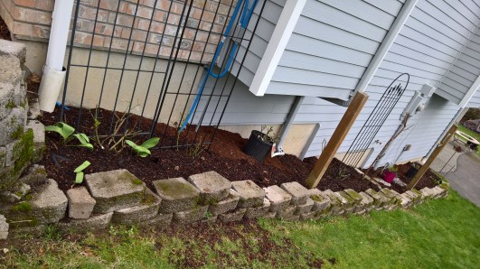 WP_20160221_11_50_00_Rich_LI