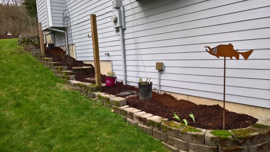 WP_20160221_11_51_11_Rich_LI