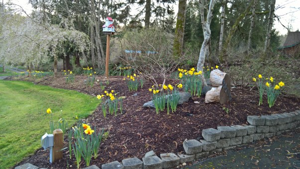 WP_20160325_19_10_10_Pro_LI