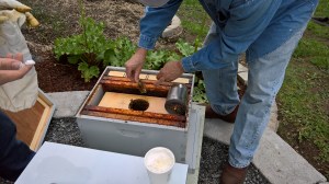 WP_20160413_18_07_43_Rich