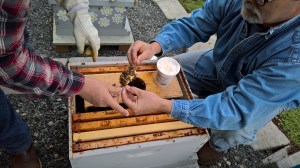 WP_20160413_18_10_49_Rich