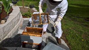 WP_20160416_16_02_09_Rich