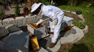 WP_20160416_16_02_31_Rich