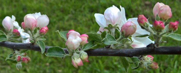 WP_20160416_17_47_46_Rich (2)