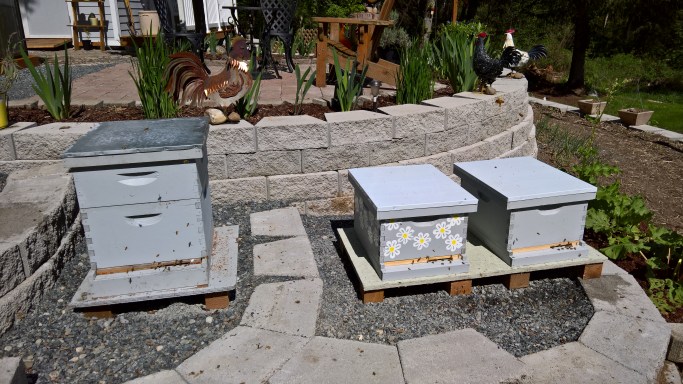 WP_20160417_12_31_05_Rich