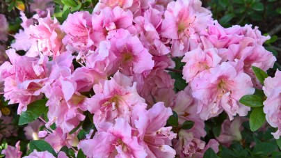 WP_20160513_18_02_13_Rich