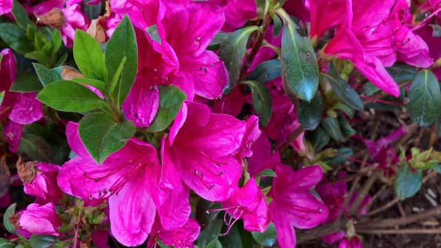 WP_20160513_18_04_16_Rich